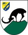 Wappen des Reyches Im Zillertal